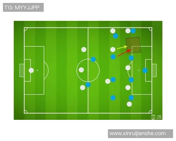 深入分析北京排球队区域防守策略与战术应用的关键要素